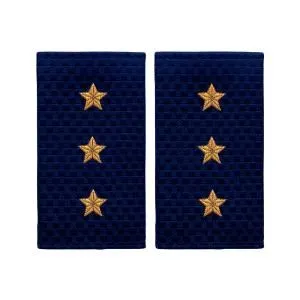Фальшпогоны вышитые н/о полиция старший прапорщик 5*9 см